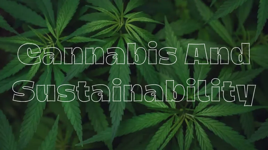 Cannabis And Sustainability