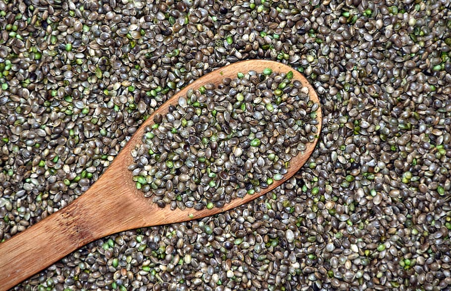 Are hemp seeds good for health