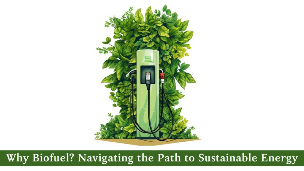Why Biofuel Navigating the Path to Sustainable Energy
