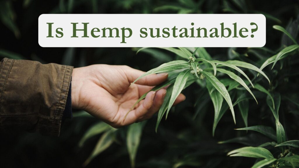 Is Hemp sustainable?