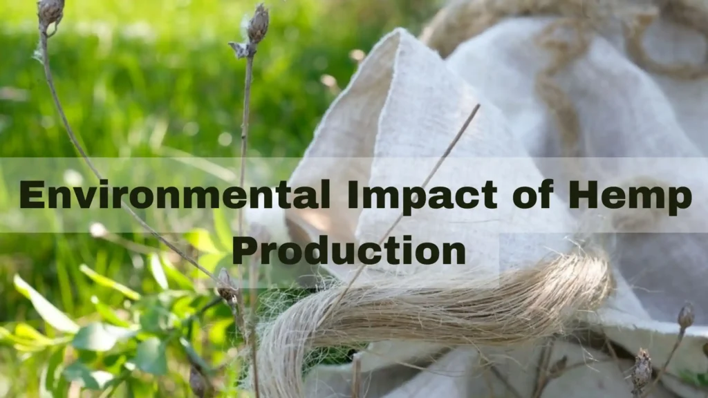 Environmental Impact of Hemp Production