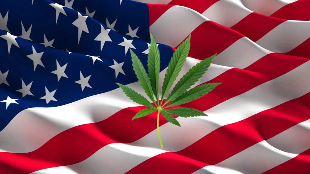Facts About Americans and Marijuana
