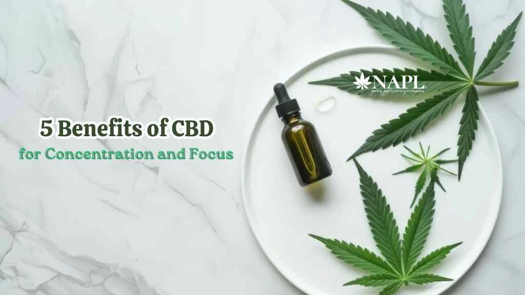 5 Benefits of CBD