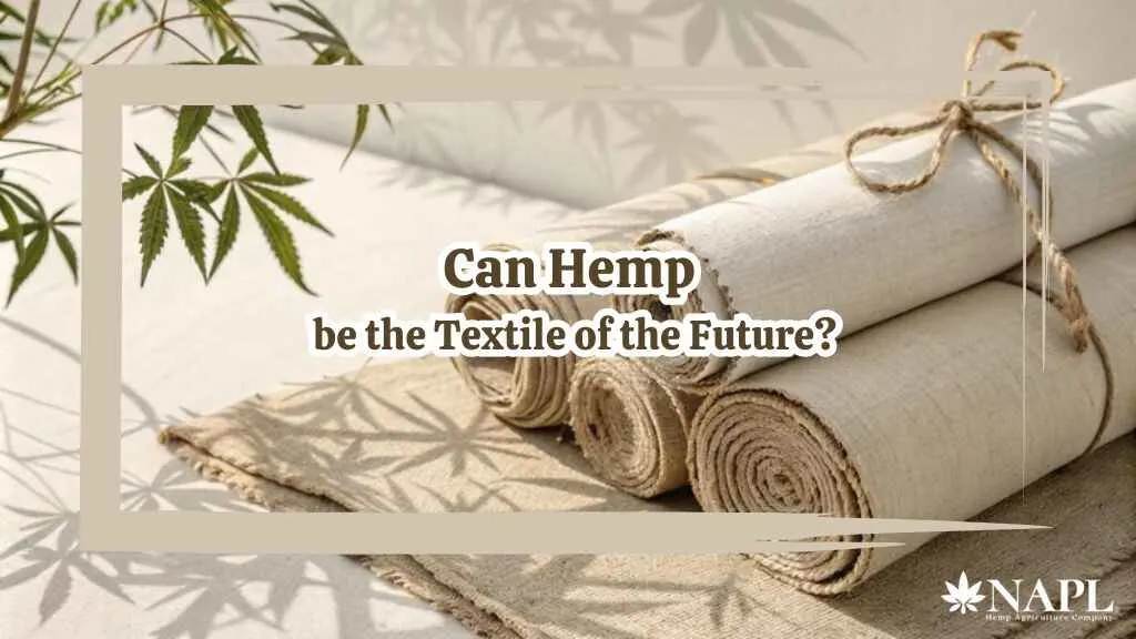 Hemp