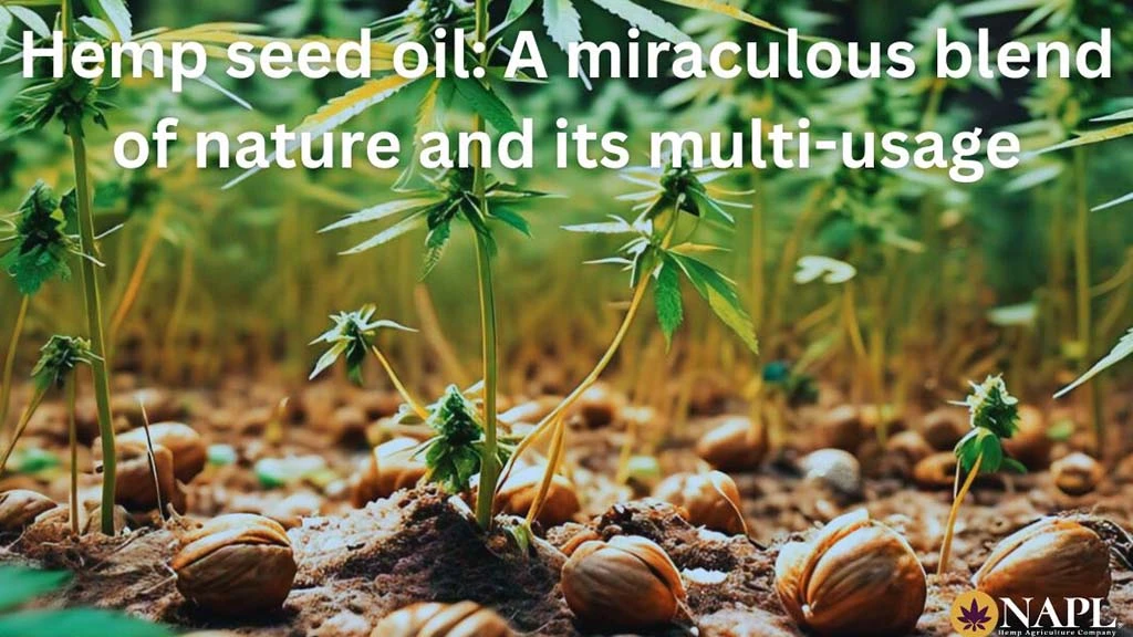 hemp seed oil