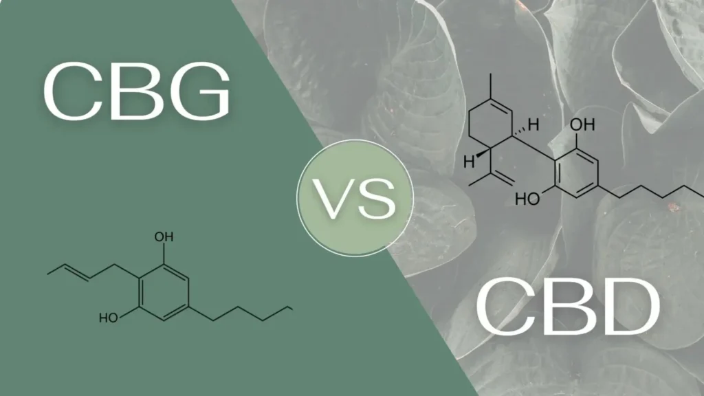 CBD Vs CBG