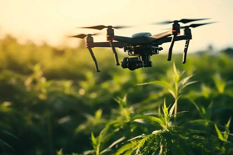 Hemp Farming Drones