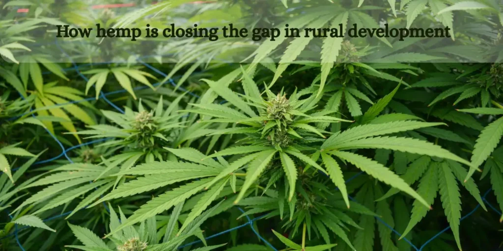 rural development