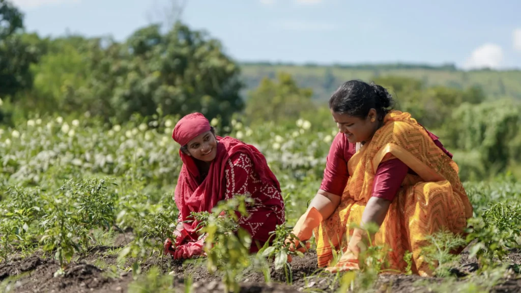 Women in hemp