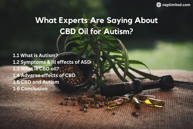 CBD oil for autism