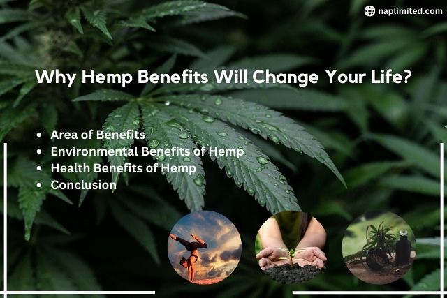 Hemp Benefits
